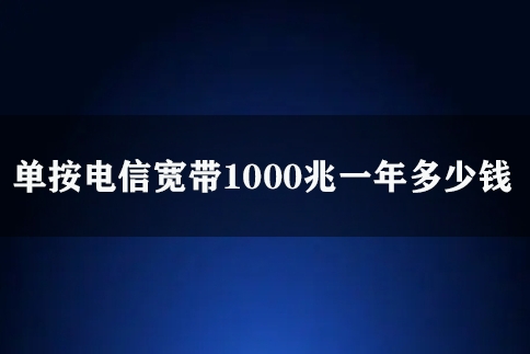 单按电信宽带1000兆一年多少钱